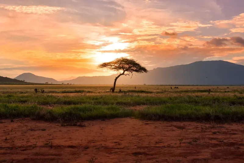 Amboseli