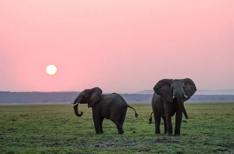 Lake Nakuru