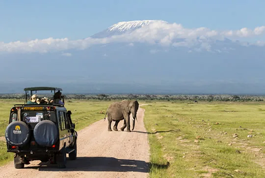 4 Days Mombasa to Tsavo East, Tsavo West and Amboseli Safari ending in Nairobi