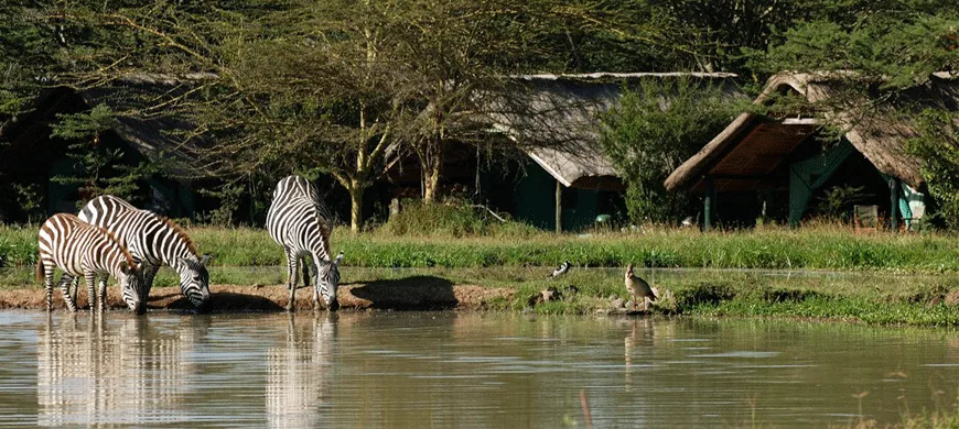 5 Days Samburu and Sweetwaters (Ol Pejeta) Safari photo 2