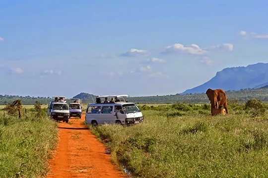 4 Days Nairobi to Amboseli, Tsavo West and Tsavo East Safari ending in Mombasa