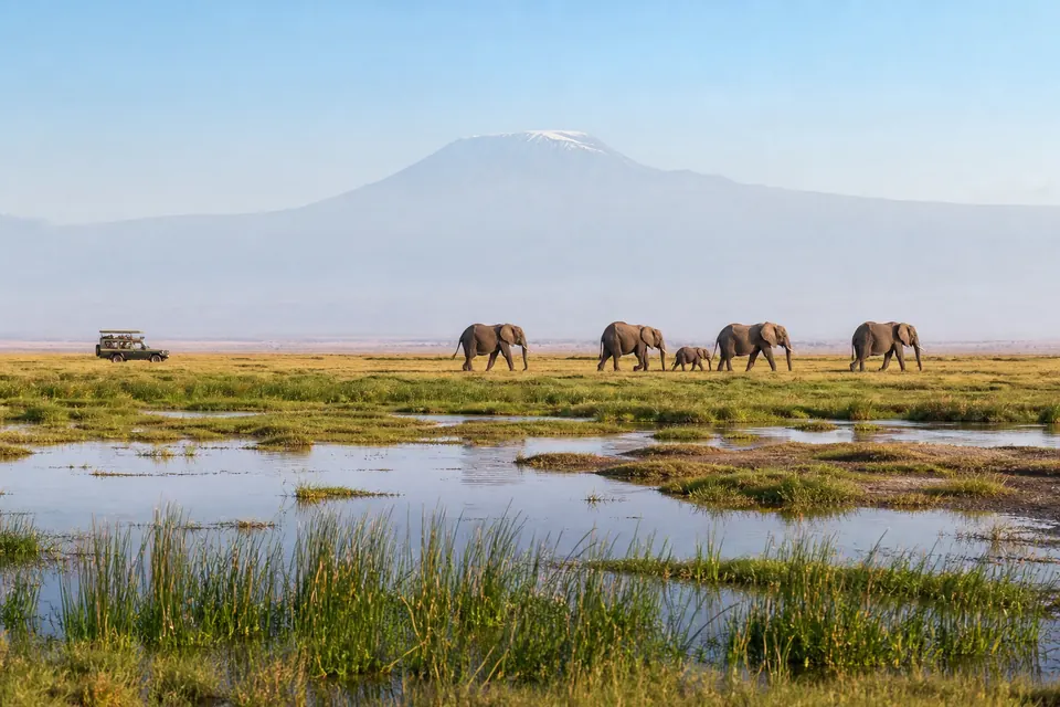 Elephants crossing Amboseli wetlands during a relaxed Kenya safari itinerary