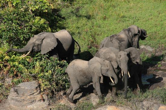 2 Days Shimba Hills Safari
