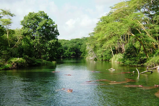 Tsavo West