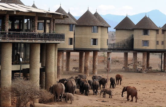 2 Days Nairobi to Amboseli Safari